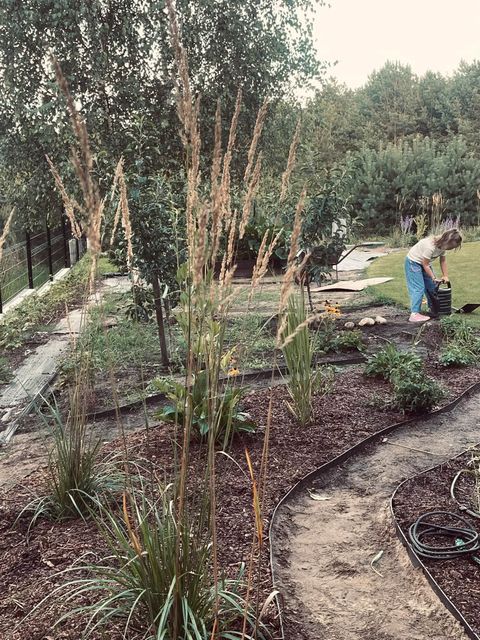 A Prairie Garden 