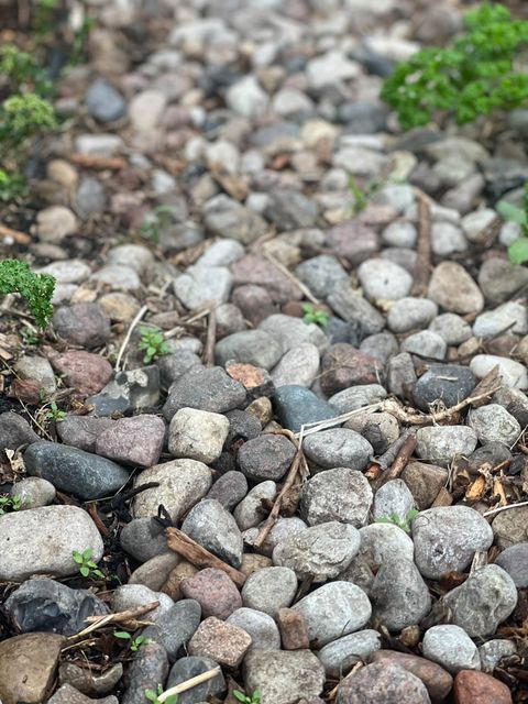 Mój ogród – przestrzeń eksperymentów i naturalnych rozwiązań