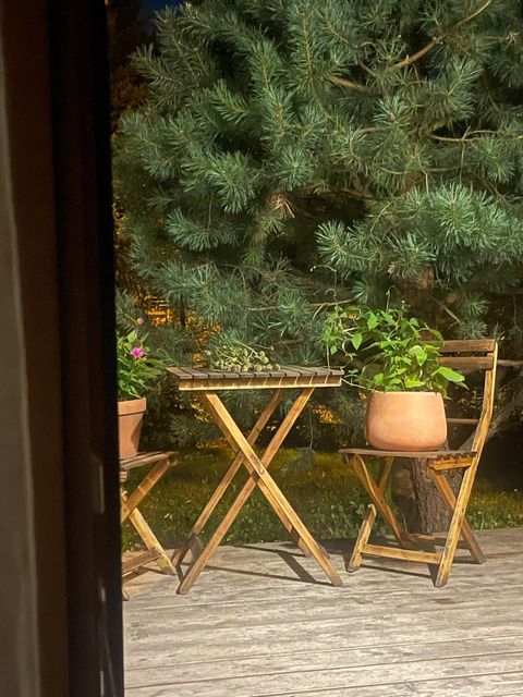 Mój ogród – przestrzeń eksperymentów i naturalnych rozwiązań