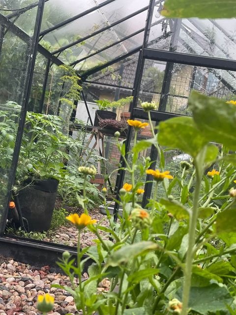 Mój ogród – przestrzeń eksperymentów i naturalnych rozwiązań